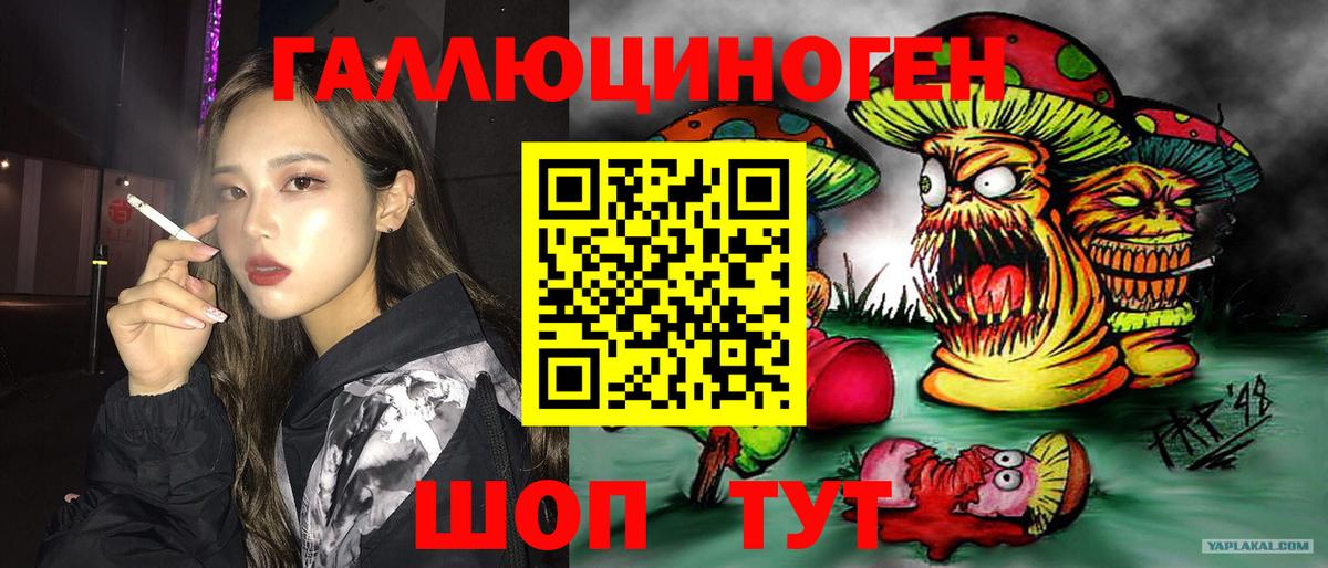 Псилоцибиновые грибы Psilocybe Пугачёв